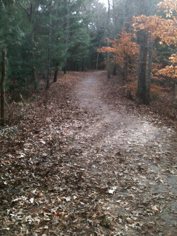 Beebe Woods