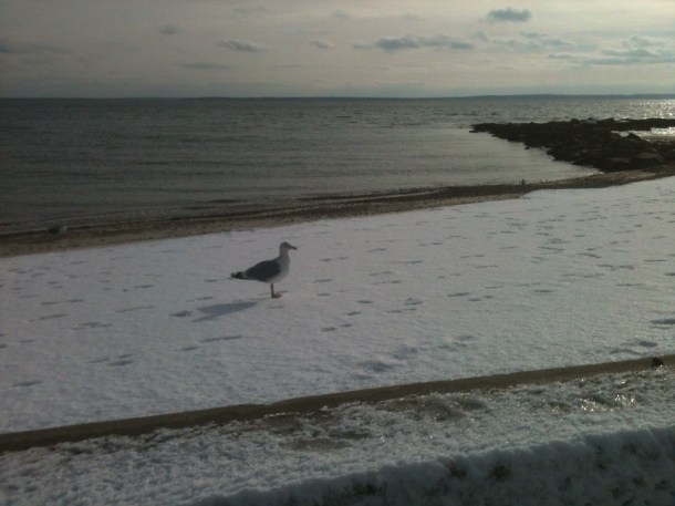 Surf Drive New Year's Eve