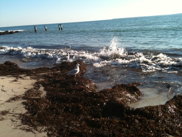 Some crashing and splashing