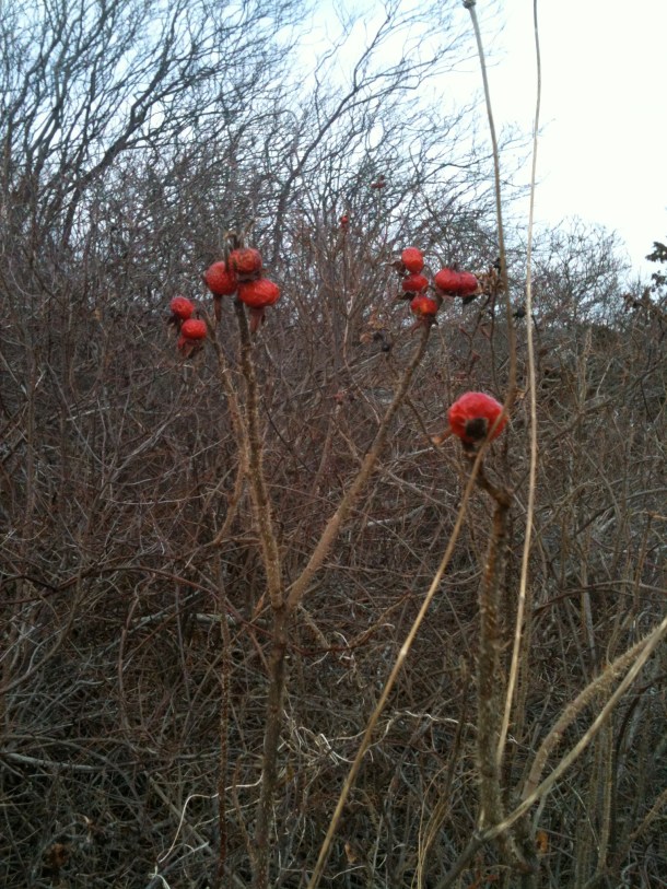 Just a splash of red...