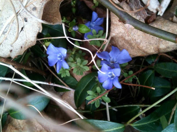 Just a hint of color