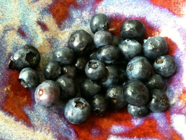 Blueberries in My Thrown Bowl