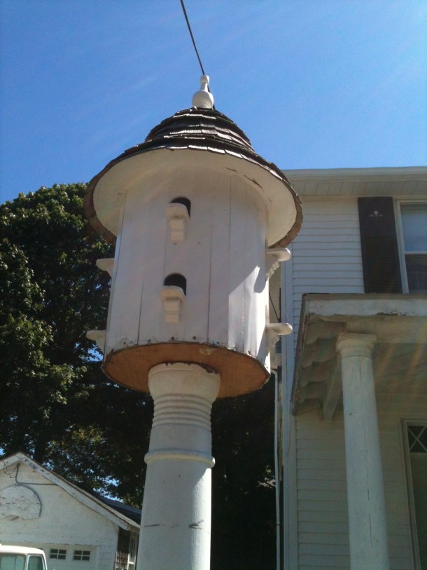 For the birds, and me, to appreciate.