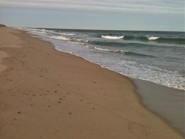 Marconi Station Surf