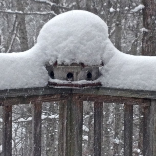 Bird Snow Fort