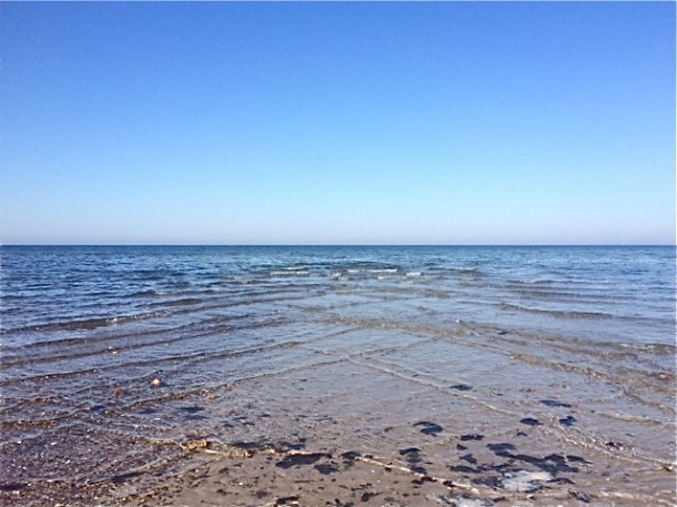 WoodNeck Cross Currents 