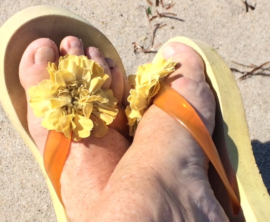 Not Too Many More Days Like This...